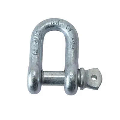 Stainless Steel D-ring Shackle